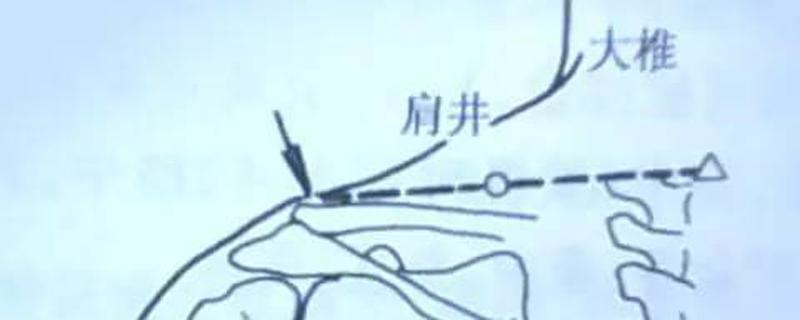 肩井的准确位置图和作用（肩井的准确位置图和作用的准确位置图作用）
