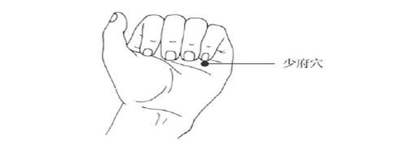 中医少府是什么意思 少府的定位和主治