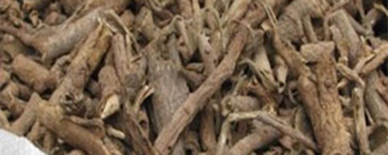 青藤香的功效与作用（青藤香的功效与作用及禁用）