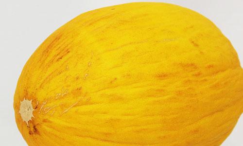 黄金瓜的功效与作用