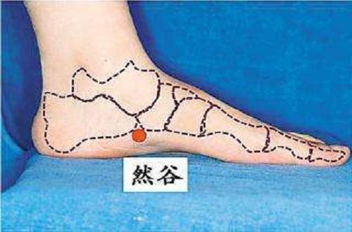 然谷准确位置图和作用 然谷准确位置图和作用及功效