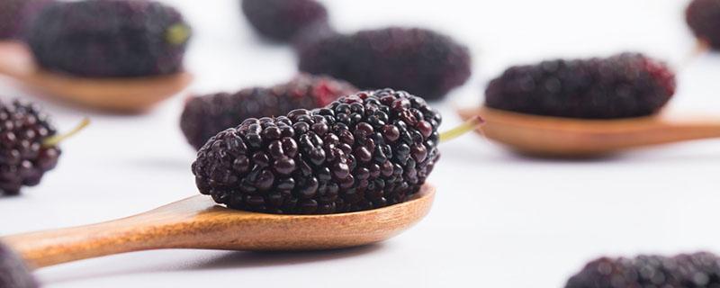 桑葚泡水喝有什么作用(大枣枸杞桑葚泡水喝有什么作用)