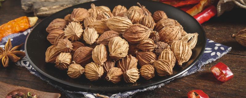 香砂仁的功效与作用（香砂仁的功效与作用做调料的用途）