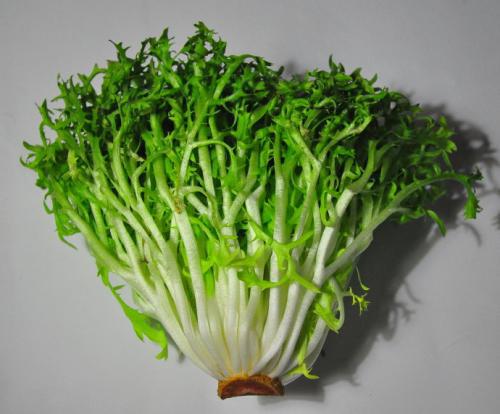 怎么快速排尿酸（怎么快速排尿酸最有效）