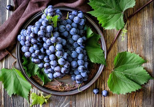 喝醉了想吐怎么办（喝醉了想吐怎么办缓解）