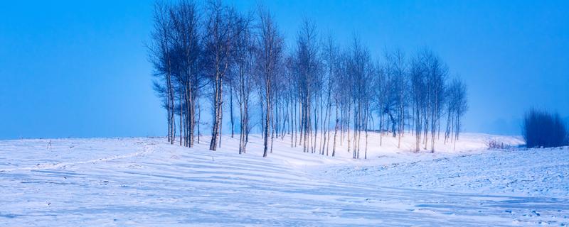 今年是60年最冷的一年吗 听说今年是60年最冷的一年是真的吗