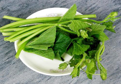 南瓜藤可以生吃吗 南瓜藤怎么做最好吃