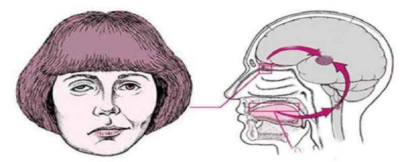 面神经麻痹恢复要多久 面神经麻痹多久可以恢复