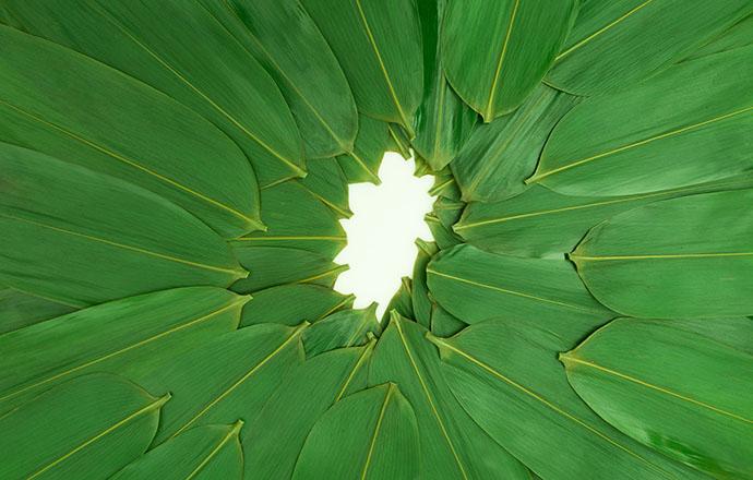 粽叶煮多长时间好（粽叶煮多长时间最好）