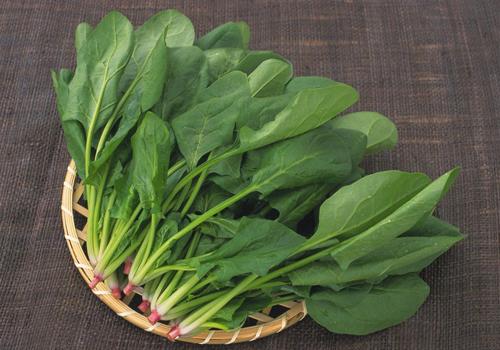 吃什么蔬菜减肥效果好 减肥吃什么蔬菜好呢