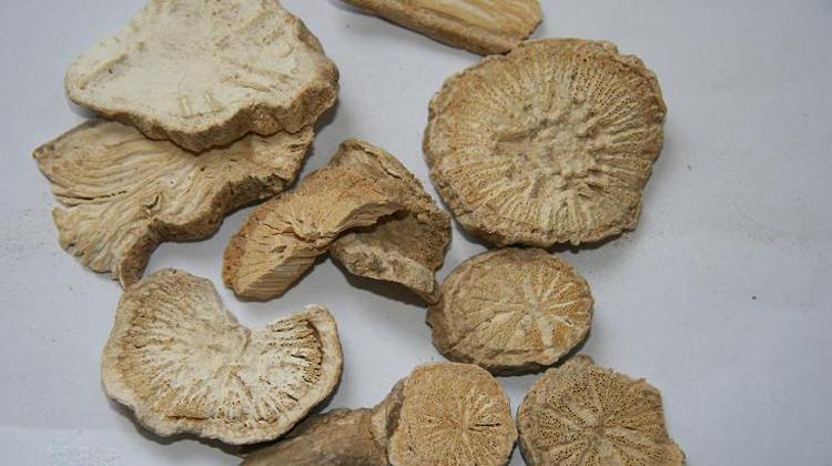 木防己的功效与作用 木防己的功效与作用图片