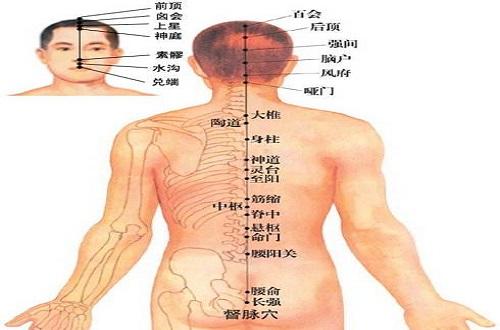 长强准确位置图和作用（长强准确位置图和作用及功效）