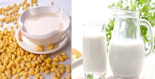 喝牛奶和喝豆浆有什么好处 每天喝豆浆牛奶有啥好处