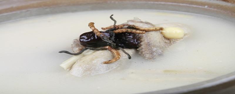 虫草排骨汤怎么做好吃（虫草排骨汤怎么做好吃视频）