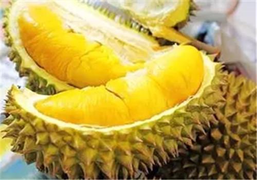 榴莲和牛奶能一起吃吗（榴莲和牛奶能一起吃吗?）