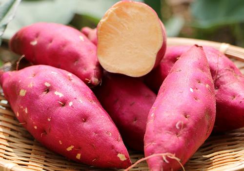 吃红薯有什么好处 红薯的健康吃法