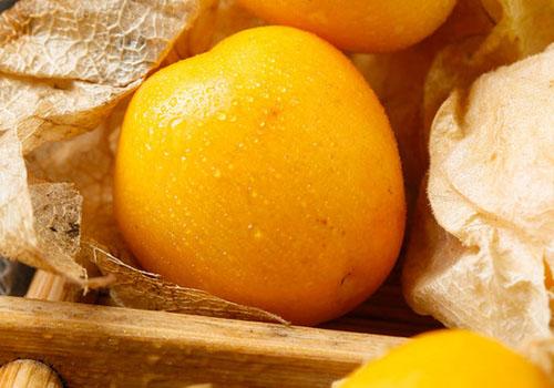 姑娘果是什么样的果子 姑娘果百度百科