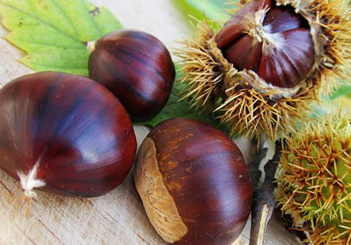 孕妇吃板栗吃生的还是熟的 孕妇吃板栗吃生的还是熟的呢