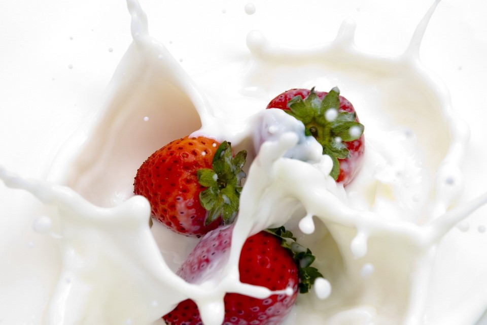 你以为你早上喝的是牛奶 你以为你早上喝的是牛奶英语