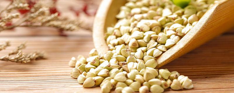 荞麦仁的功效与作用及食用方法黑豆 荞麦仁的功效与作用