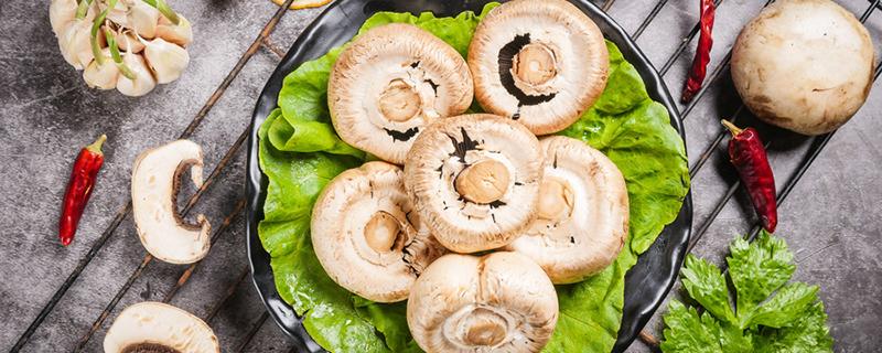 口蘑变成褐色还能吃吗 口蘑里面一圈黑色能吃吗