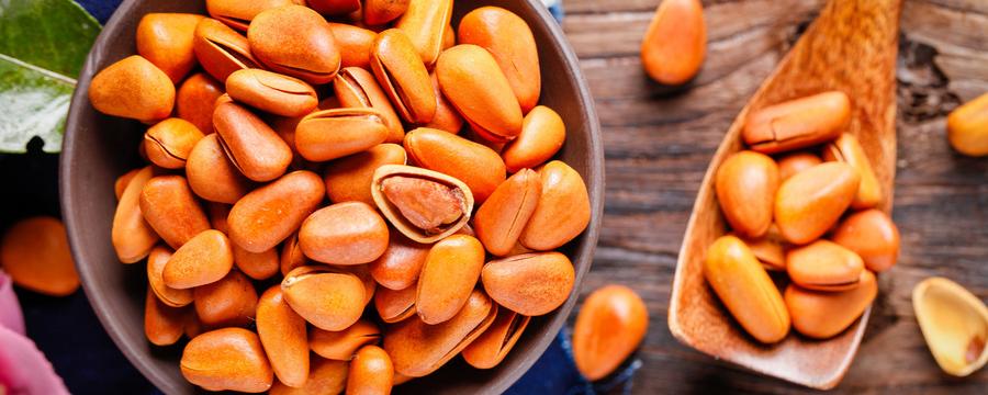 生松子与熟松子哪种营养好 松子是上火的还是下火的