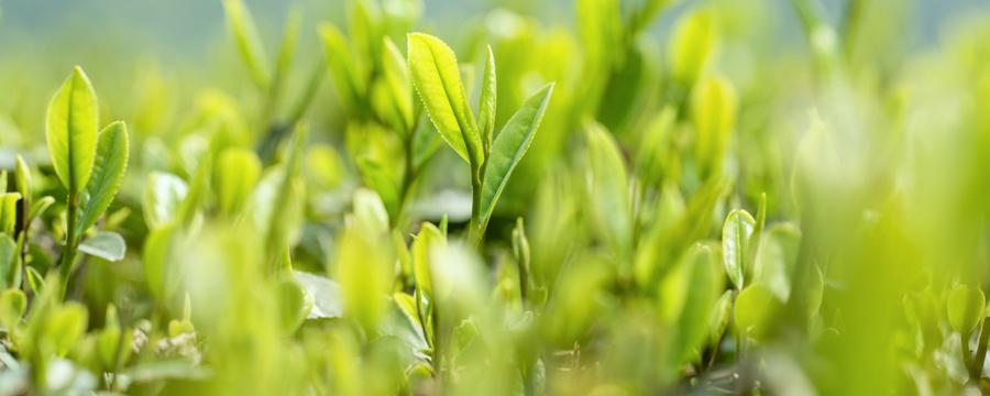 倒春寒比冬天还冷吗 倒春寒会冷多久