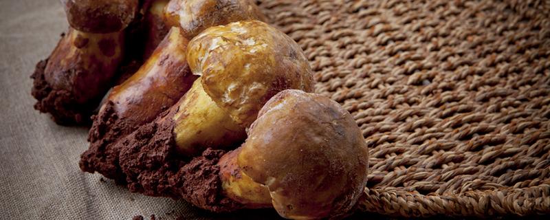 姬松茸的功效与禁忌 姬松茸怎么吃最好