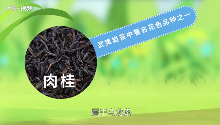 肉桂茶属于什么茶 肉桂茶怎么喝