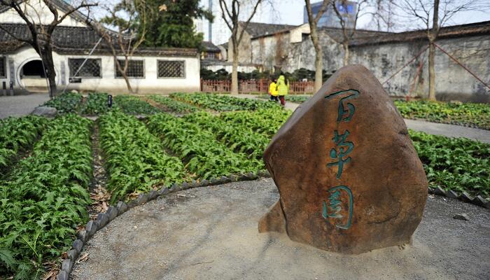 从百草园到三味书屋表达了什么感情 从百草园到三味书屋表达了作者什么样的感情