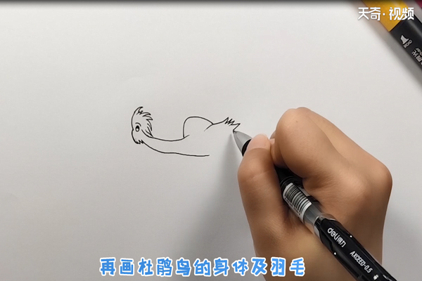 杜鹃鸟简笔画