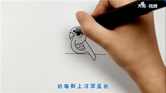 鸟简笔画