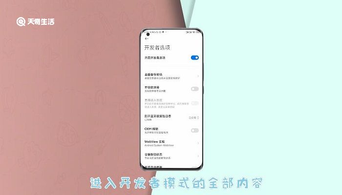 小米怎么进开发者模式 小米如何进开发者模式