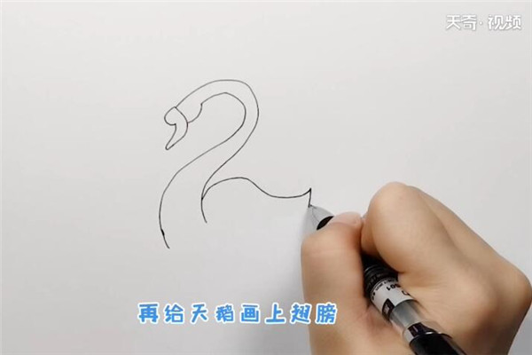 鹅简笔画