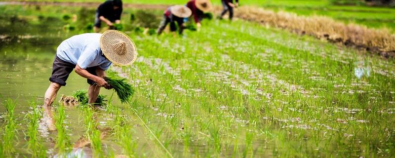 新土地法宅基地最新政策 新土地法宅基地的最新政策