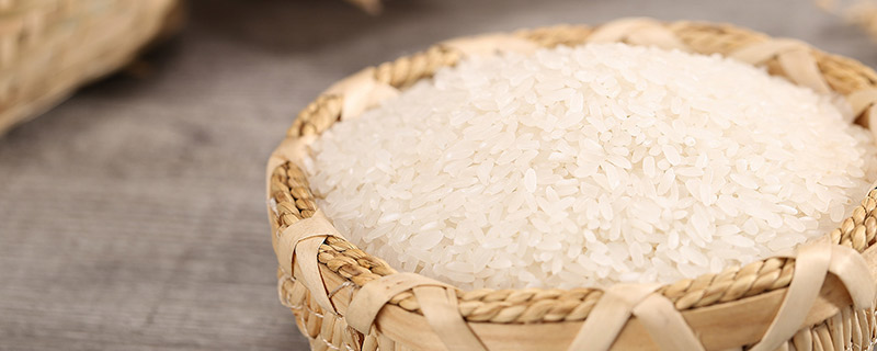 大米的营养成分 大米的食用功效