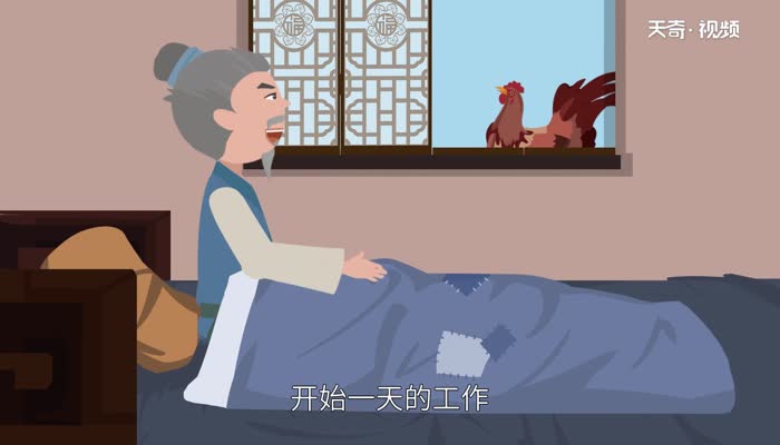 公鸡为什么打鸣 公鸡打鸣的原因