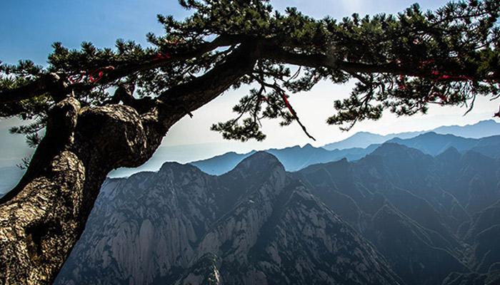 西岳指的哪座山 西岳是哪座山