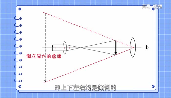 显微镜成像特点 显微镜的成像原理