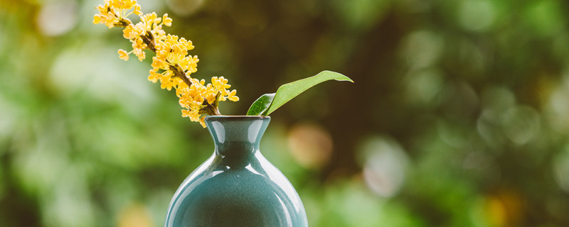 栗子花味是什么梗 栗花味是什么意思