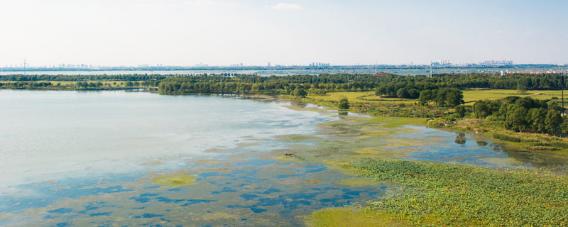 阳澄湖在哪里哪个省的 阳澄湖在哪里