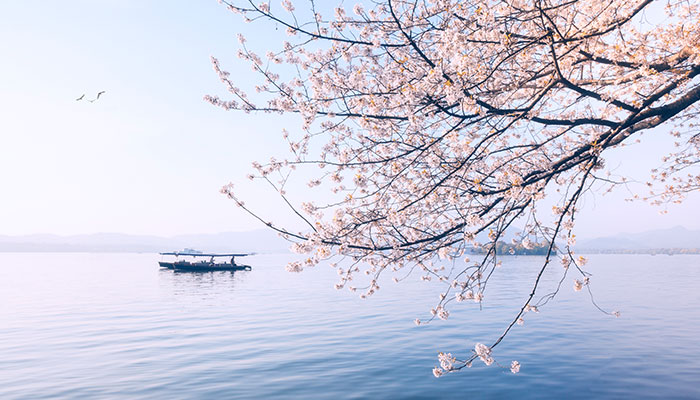 3月开什么花 3月开的花有什么