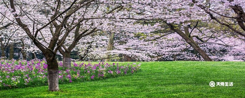 湖州市春季赏花去哪里 推荐湖州市春季赏花好去处