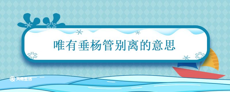 唯有垂杨管别离的意思 长安陌上无穷树唯有垂杨管别离的意思