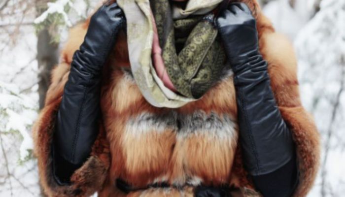 貂毛和水貂毛有区别吗 貂毛和水貂毛是一样的吗