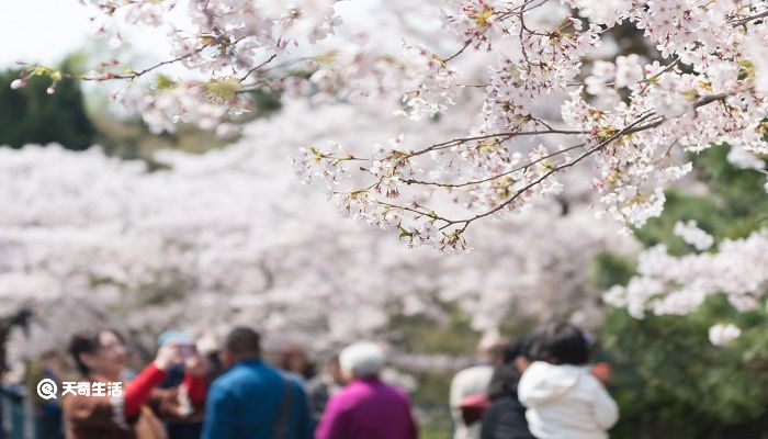 南平市春季赏花去哪里 推荐南平市春季赏花好去处