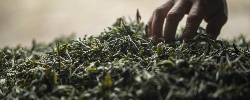 南京特产雨花茶用什么法冲泡 雨花茶的泡法