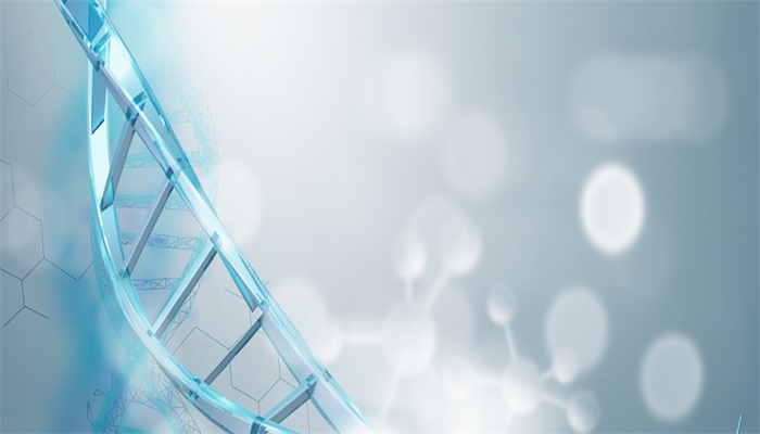 二氧化碳和碳反应的化学方程式 二氧化碳和碳反应的化学方程式是什么