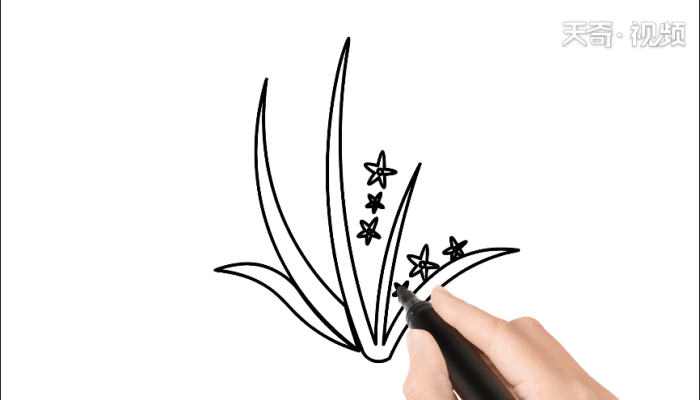 梅兰竹菊简笔画 梅兰竹菊简笔画怎么画