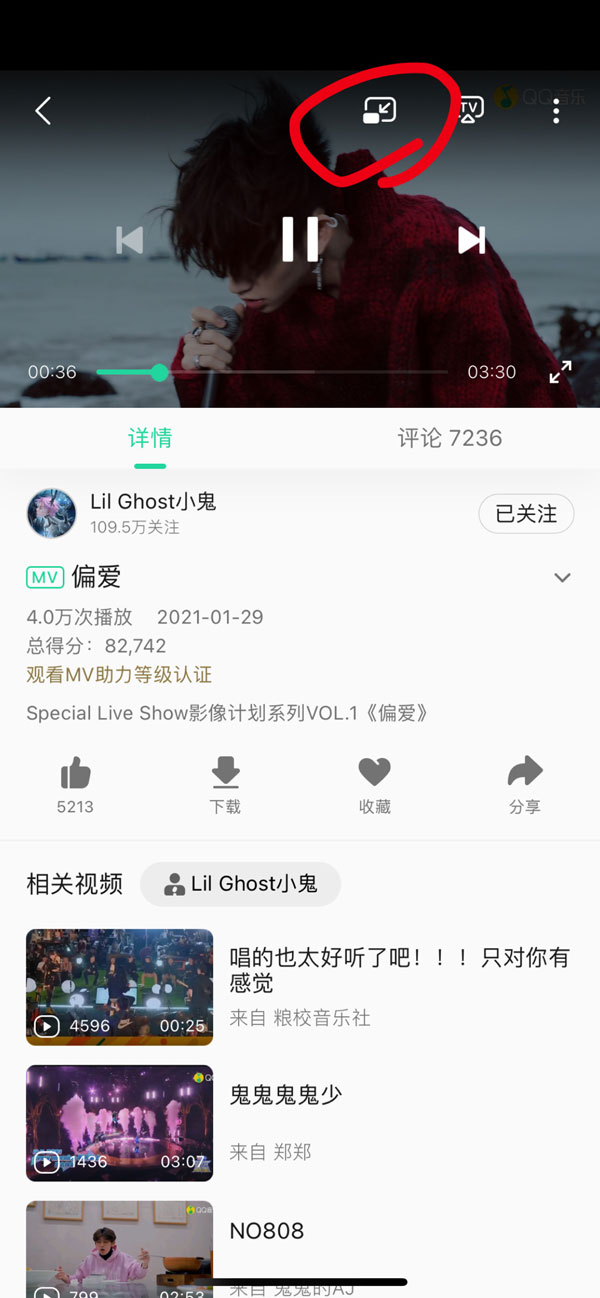 苹果画中画功能怎么用